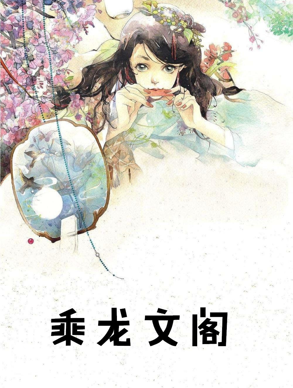 乘龙文阁共多少章