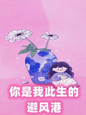 赞美诗歌你是我的避风港