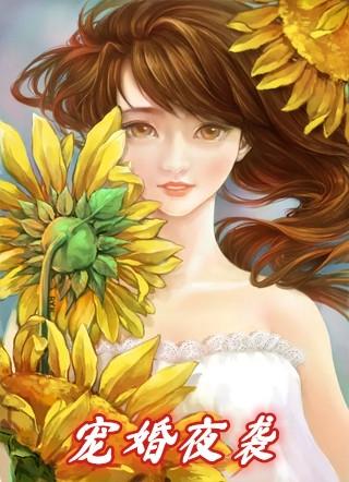 宠婚夜袭萌妻买一赠二txt