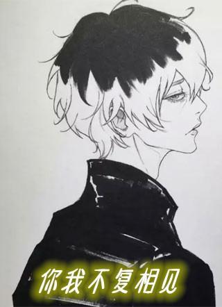 你我不复相见苏安