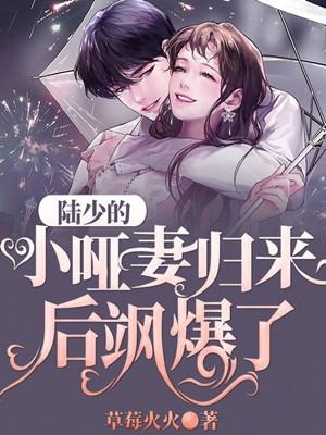 陆少的新婚小妻超嚣张