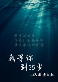 我等你到三十五岁有多少章