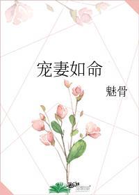 宠妻如命全文阅读