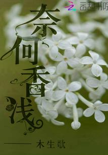 奈何情深缘浅免费全文免费阅读