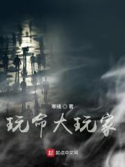 玩命大玩家电影