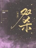 双杀讲的是什么