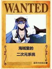 海贼里的二次元系统 目