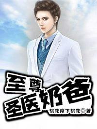 圣医奶爸txt全本