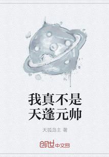 我的天蓬元帅