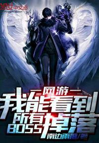 我能看到boss掉落的所有物品