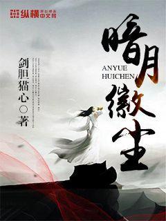 暗月之尘是否赠送