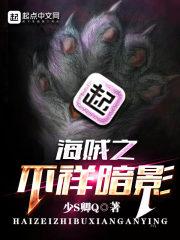 海贼之不祥暗影类似