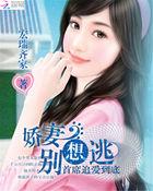 首席追妻别心急免费阅读