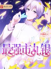 死神最强之风免费阅读