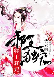 邪王独宠特工狂妃小楼云烟