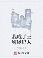 内地王牌经纪人