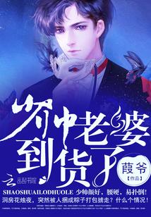 少帅老婆又跑了内容