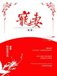 宠妻之一女二夫