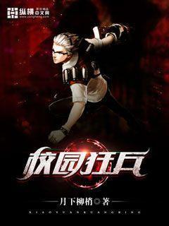 校园狂兵txt全集