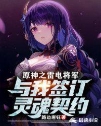 原神之雷电将军