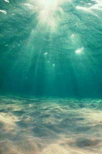 夏夕绾和陆寒霆全文免费阅读一共多少集