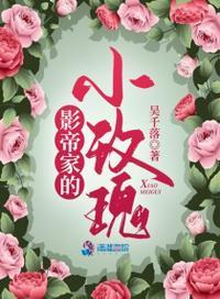 影帝家的小玫瑰电子书