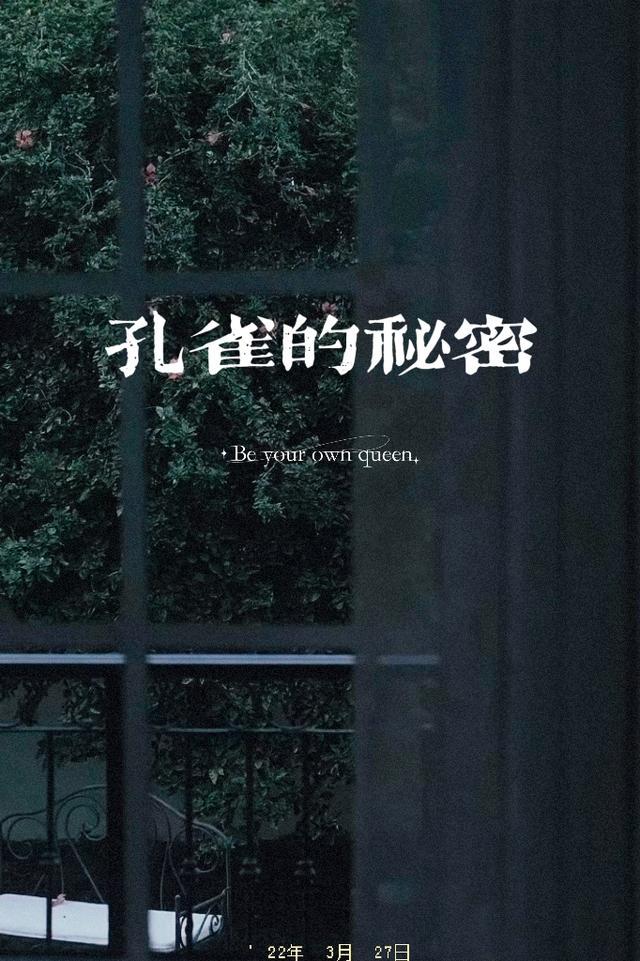 孔雀的秘密黑孔雀