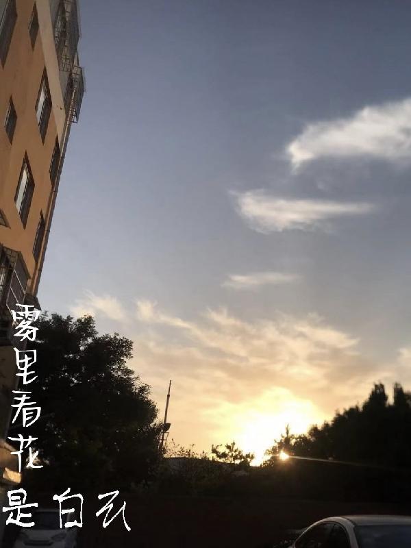 雾里看花是哪部电视剧的片尾曲