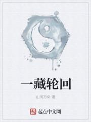一藏轮回TXT百度
