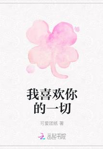 我喜欢你的一切翻译英语