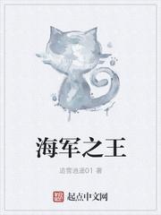 海军之王在线