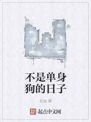 单身狗的日子什么意思