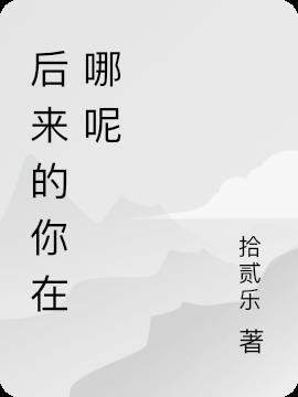 电视剧后来的你