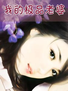 我的极品老婆结局