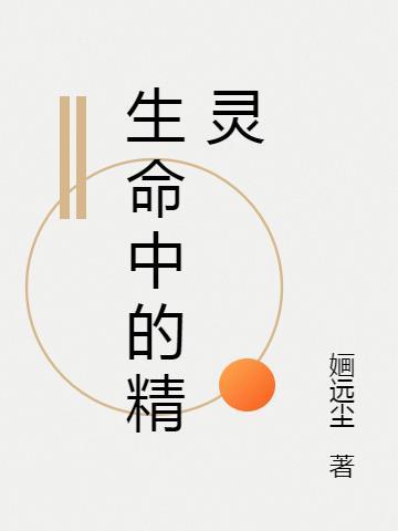 生命中的精灵 李宗盛