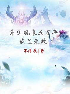 我的系统迟到了五百年