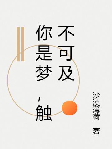 那些触不可及的梦