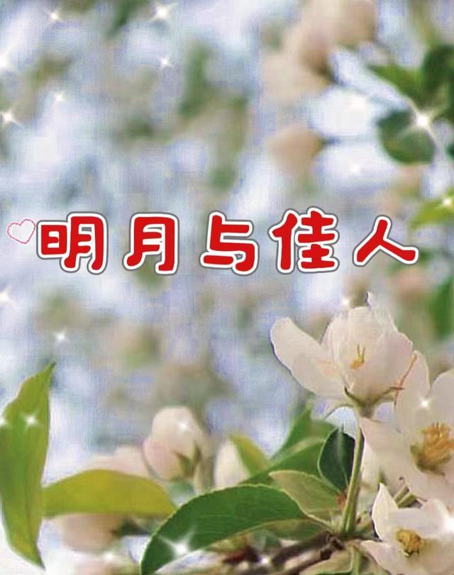 明月与佳人两婵娟