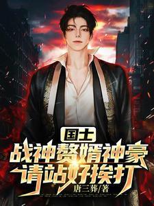 战神赘婿最新