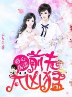 婚心荡漾前夫太凶猛 云九尘