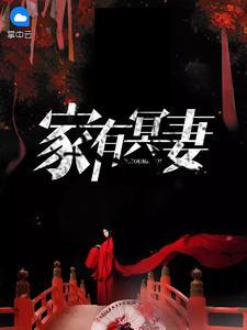 家有冥妻电视剧