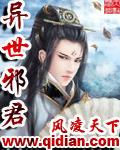 异世邪君风雪银城