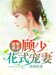 蜜婚娇妻顾少宠上天免费阅读千