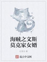 海贼王之文斯莫克家族