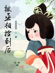 捡个丞相来种田全文免费阅读