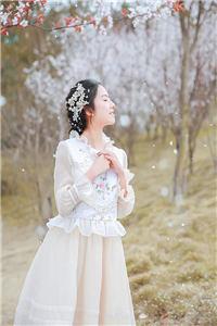 红楼之倾世缘无弹窗免费阅读