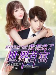 陈凡赵琳琳最新章节