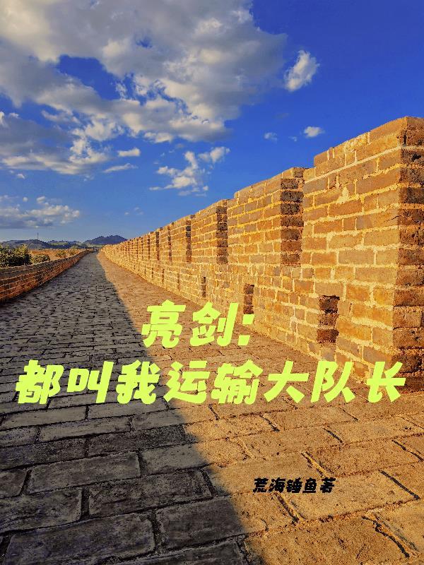 亮剑都叫我运输大队长书海阁