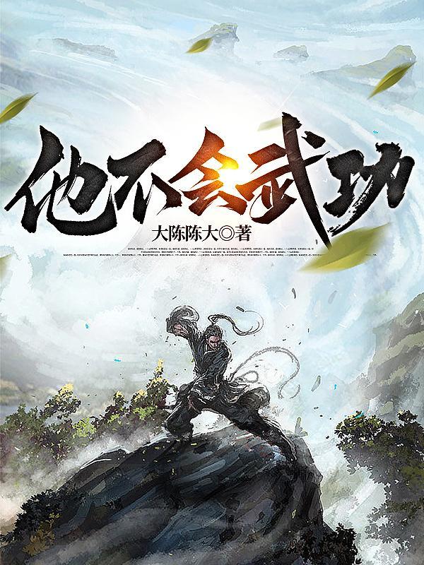 他不会武功之类的