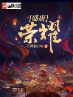 盛唐荣耀顶配mpv价格多少